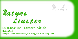 matyas linster business card